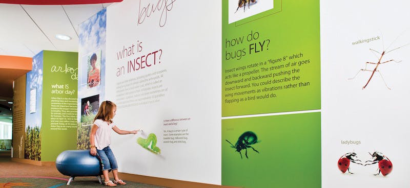 66fb15d7691396c9fd4b9d6e Pediatric