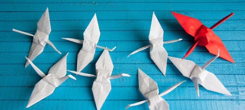 66fb15dbf503dd55e676566a Thoughtleadershipmarketing1720x325