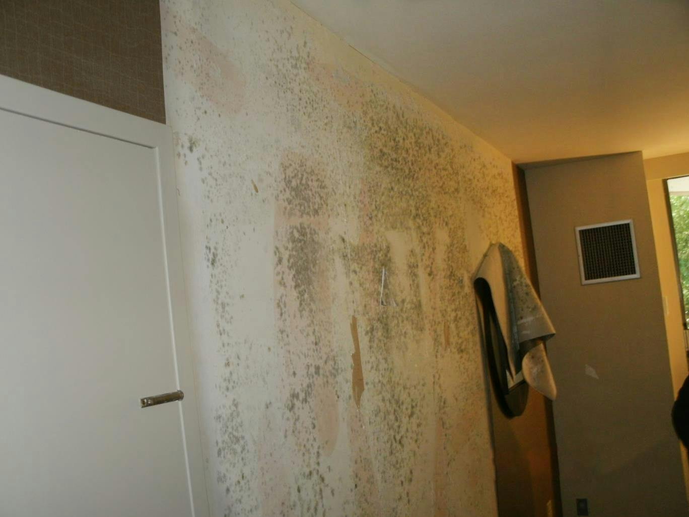 66fb15ee5230187919075ea7 One 2