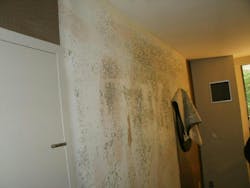 66fb15ee5230187919075ea7 One 2 66fb15ee5230187919075ea7 One 2