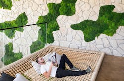 Biophilic design in practice at Lower 48 in Denver Biophilic design in practice at Lower 48 in Denver