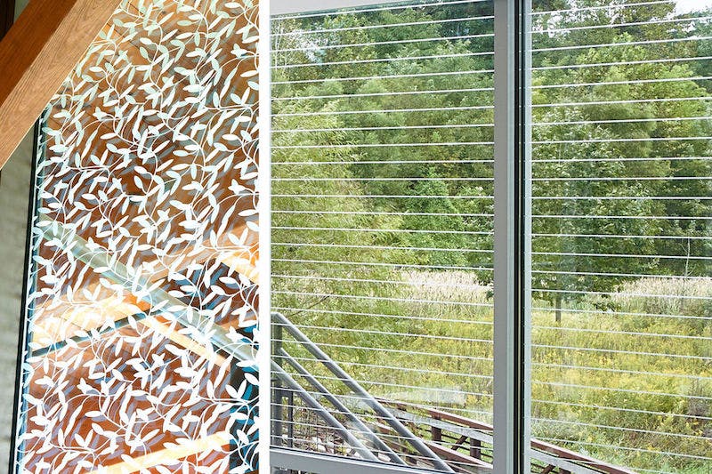 66fb15f469139672044b9dd3 Birds Main