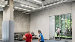 Workplace wellness