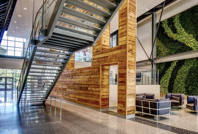 66fb15fc783cc97accd7ff08 Paladino 1