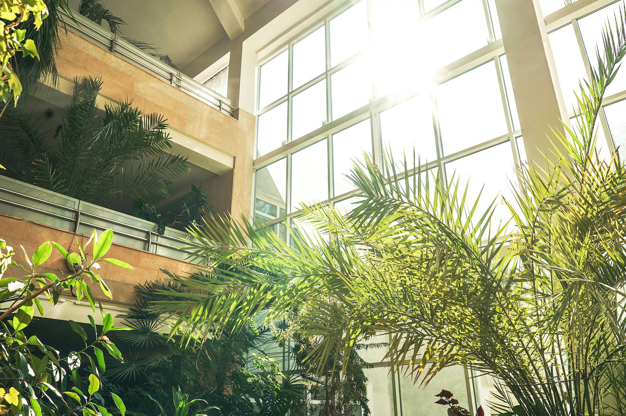 A Broader Cultural Shift Toward Health And Wellness Is Reflected Throughout The Design Industry In The Growth Of Biophilic Design