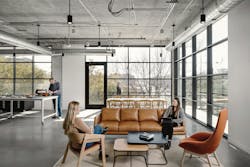 The co-worker as the new office amenity The co-worker as the new office amenity