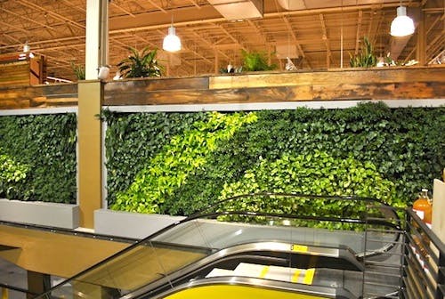 66fb165e1a3f592434d4fccc Wf2