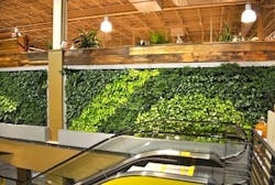 66fb165e1a3f592434d4fccc Wf2 66fb165e1a3f592434d4fccc Wf2