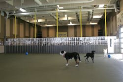 66fb16613695551e26421469 Schweiss20gatewdogs 66fb16613695551e26421469 Schweiss20gatewdogs