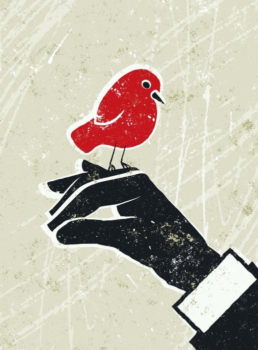 66fb166c783cc915e3d80031 Bluebeam1