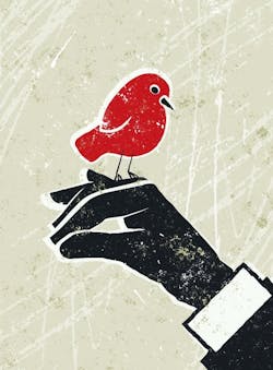 66fb166c783cc915e3d80031 Bluebeam1 66fb166c783cc915e3d80031 Bluebeam1