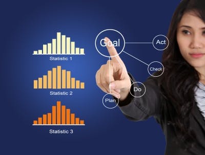 66fb168b36955578c44214f6 Digital