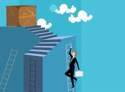 66fb169a783cc91436d800b0 Trust