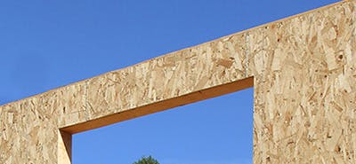 66fb169b46a023ea1a13ca8a Apa Forced20transfer