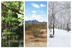 How do the new Energy Star standards impact coatings? How do the new Energy Star standards impact coatings?