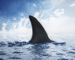 66fb16c9369555cc744215b1 Istock 000039958482 Large 66fb16c9369555cc744215b1 Istock 000039958482 Large