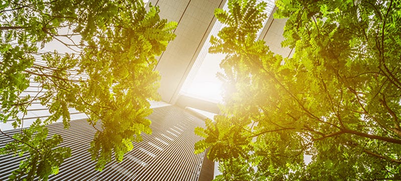 66fb16f81a3f59490bd4fe5a Firmgrowth