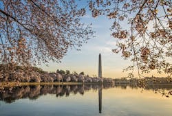 66fb17011a3f59c1f3d4fe72 Dc Tidalbasin1 66fb17011a3f59c1f3d4fe72 Dc Tidalbasin1