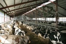 66fb171b1a3f59d411d4fea0 Spring20valley20holsteins209 66fb171b1a3f59d411d4fea0 Spring20valley20holsteins209