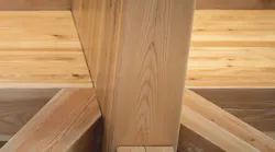 Clt