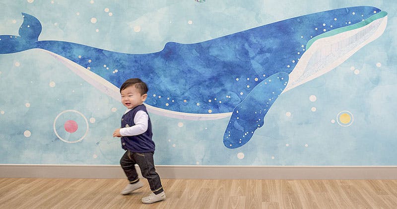 66fb173b46a02315ef13cbdc Chocheroimage2