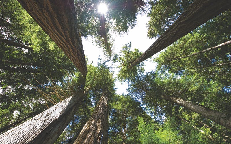 66fb174446a023cab113cbe9 Image20120july