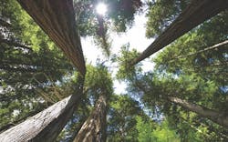 66fb174446a023cab113cbe9 Image20120july 66fb174446a023cab113cbe9 Image20120july