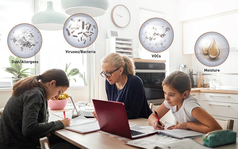 66fb174636955539ec4216d3 New20reality