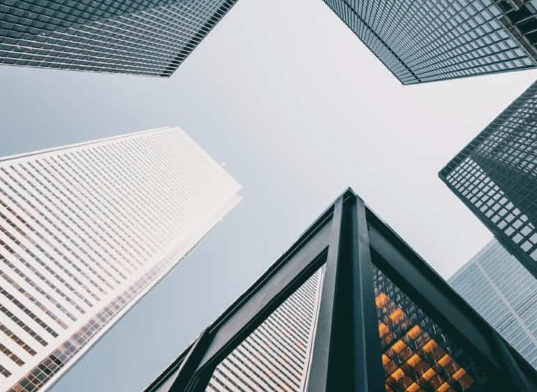 66fb17562ac3a5aebb198ed3 Paladino 7