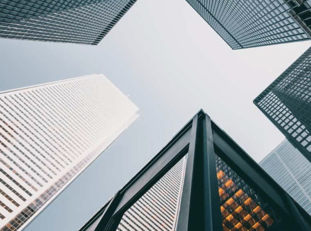 66fb1757783cc99c58d801ff Paladino 8