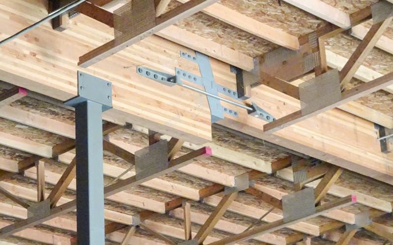 66fb1780369555d7cf421739 Bdc20sprouts20hero201