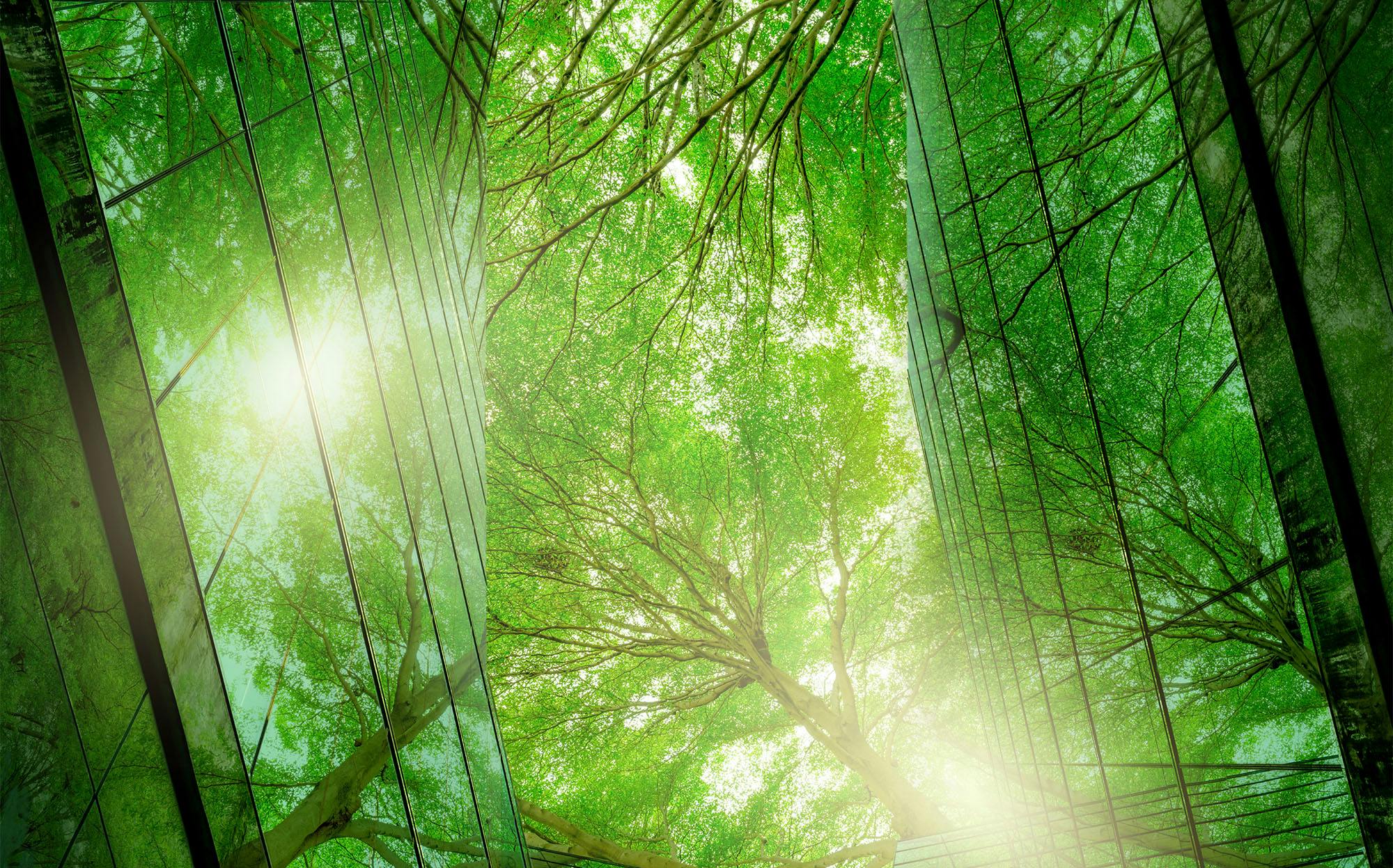 Adobe Stock 543191807