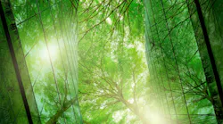 Adobe Stock 543191807