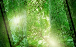 66fb17851a3f5984ccd4ff6e Adobestock 543191807 66fb17851a3f5984ccd4ff6e Adobestock 543191807