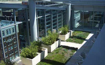 A Washington, D.C., office building incorporates plantings to maximize curb appeal while capturing stormwater runoff. Photo: Tim