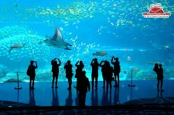 Photos and renderings: courtesy PGAV Destinations and Chimelong Ocean Kingdom Photos and renderings: courtesy PGAV Destinations and Chimelong Ocean Kingdom