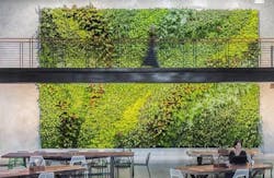 66fb19493695554573421824 Unnamed1 66fb19493695554573421824 Unnamed1