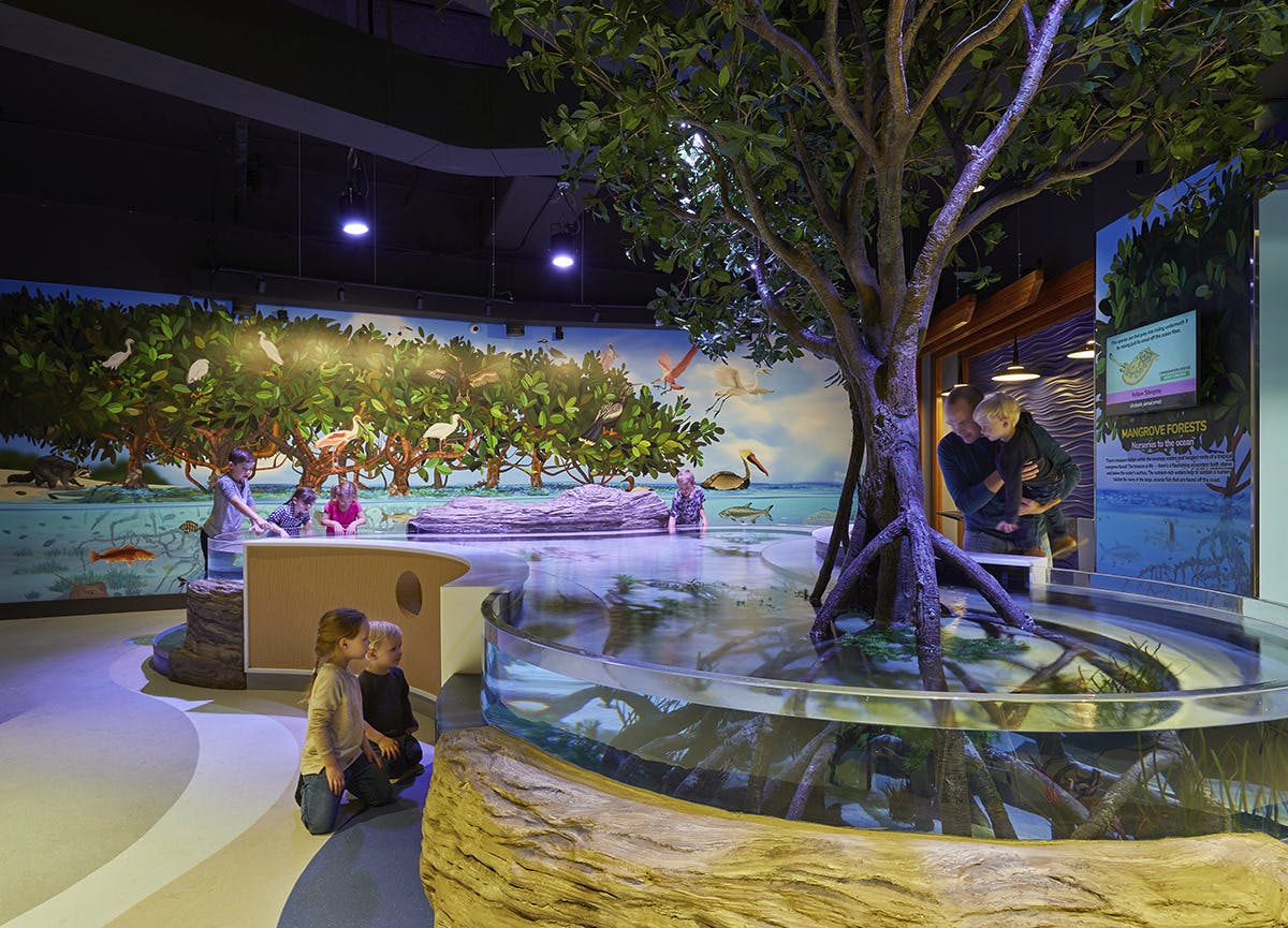 Aquarium of Niagara Explorer&rsquo;s Reef, Niagara Falls, N.Y., designed by CPL Architecture, Engineering, Planning