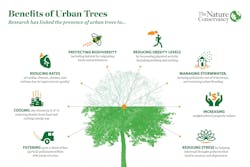 TNC-benefits-of-trees-used-with-permission TNC-benefits-of-trees-used-with-permission