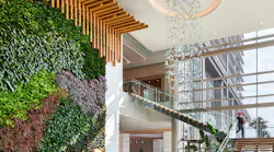top hospitality architects for 2022 cooper carry Virginia Beach Marriott Oceanfront hotel photo by Judy Davis