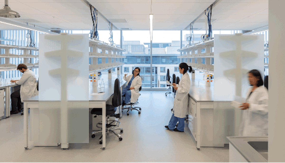 The Weill Neurosciences Building