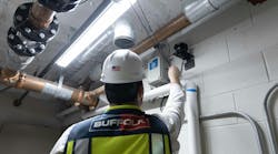 Suffolk Wint Suffolk Wint