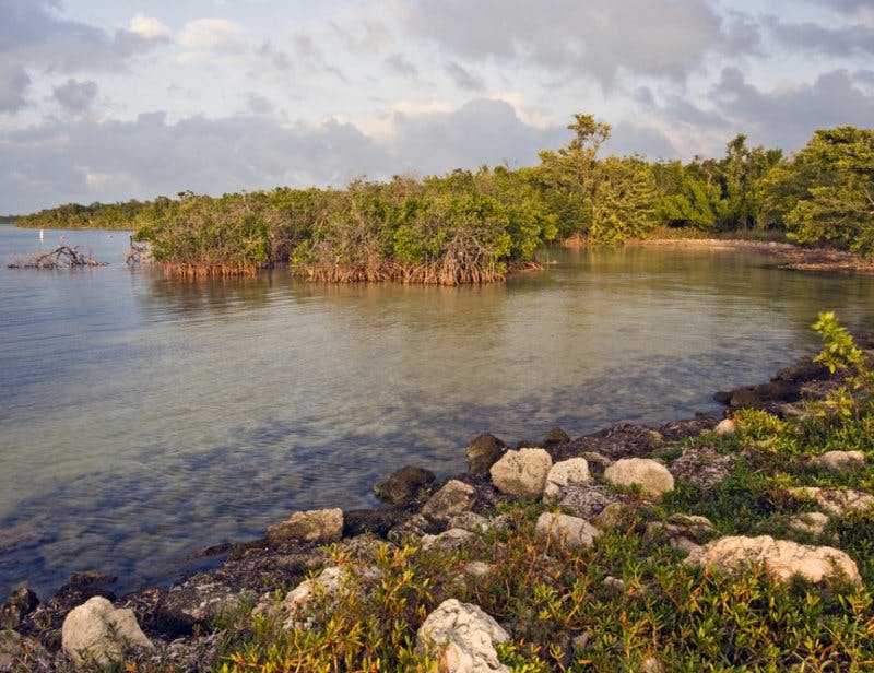 Biscayne National Park