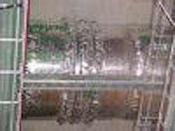 The New System, An Update To The Existing Classification, Results In A 33% Space Saving The New System, An Update To The Existing Classification, Results In A 33% Space Saving