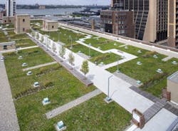 The Green Roof System Would Reduce The Buildings Annual Storm Water Discharge By 51% The Green Roof System Would Reduce The Buildings Annual Storm Water Discharge By 51%