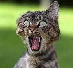 An Old Wall Street Adage Proving True For The Office Market An Old Wall Street Adage Proving True For The Office Market