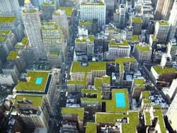 66fb1b7d1a3f593a49d50650 Green20roofs 66fb1b7d1a3f593a49d50650 Green20roofs