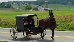 66fb1b9d691396ac6c4ba883 Amish Buggy 66fb1b9d691396ac6c4ba883 Amish Buggy
