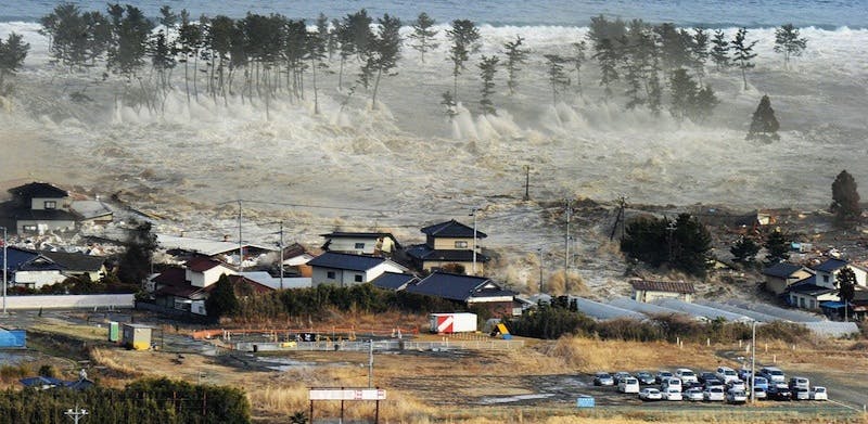 66fb1bc31a3f59d868d506e9 Tsunamipic