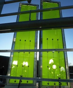 Algae 'farms' Sandwiched Between Glass Faade Panels Algae 'farms' Sandwiched Between Glass Faade Panels